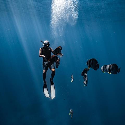 提供游泳課台中服務的專家Viktor Liao