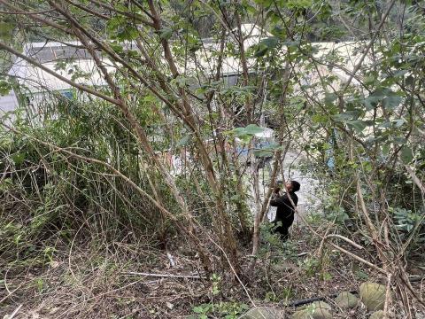 阿龍割草團隊 - 