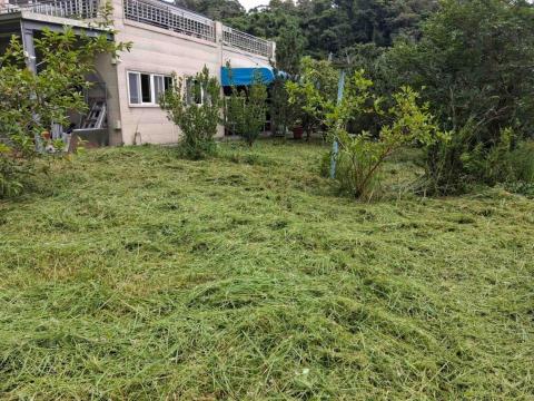 專業除草小陳 - 
