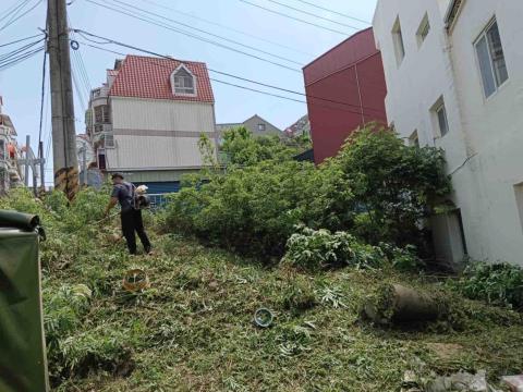 專業除草小陳 - 