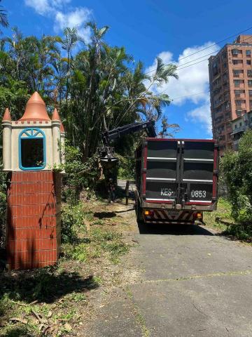 🪽森羽園藝 - 樹木清運