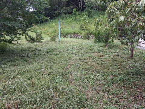 專業除草小陳 - 