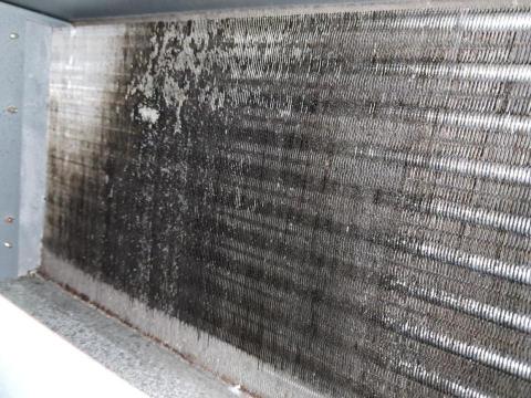 卓文勝 - 酒泉保養吊隱