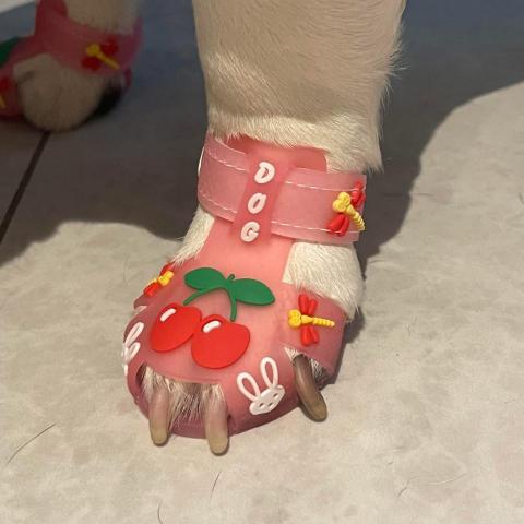 提供收纳挂袋服務的專家沈小姐