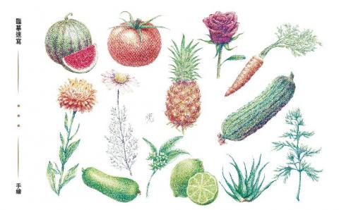 棠語林/小樑 - 色鉛筆手繪