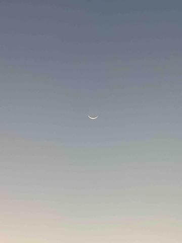 板橋日文學習家教推薦Lydia