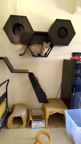 小毛頭寵物保母 - 