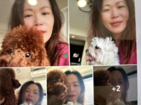 賴秀珊 - 寵物居家到府照顧
白色馬爾濟斯-小乖是有先天性心臟病,要按時吃藥
咖啡色Kimi是一隻害羞的小男孩
到府餵藥和陪玩,清理大小便和餵食晚餐 賴秀珊 - 寵物居家到府照顧
白色馬爾濟斯-小乖是有先天性心臟病,要按時吃藥
咖啡色Kimi是一隻害羞的小男孩
到府餵藥和陪玩,清理大小便和餵食晚餐