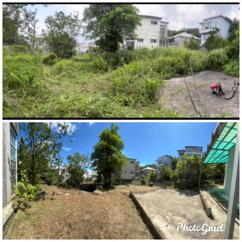 除草特攻隊 - 芒草清除