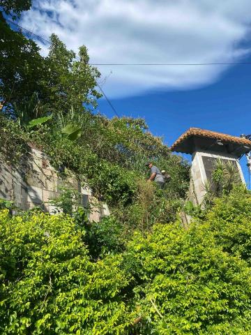 🪽森羽園藝 - 除草