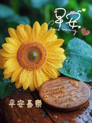 提供173司機服務的專家阿榮