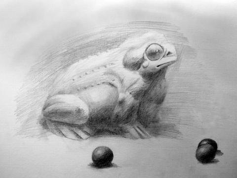 🎨 Ann‘s Studio 🖌️|繪畫工作室 - 鉛筆素描 🎨 Ann‘s Studio 🖌️|繪畫工作室 - 鉛筆素描