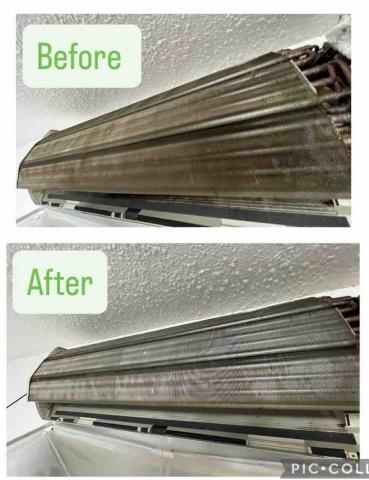 淨悅生活 - 鯺片完全洗淨