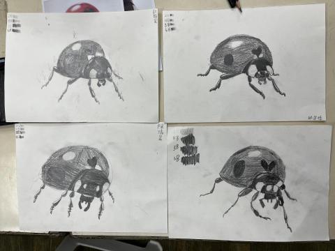 🎨 Ann‘s Studio 🖌️|繪畫工作室 - 國小學生作品 🎨 Ann‘s Studio 🖌️|繪畫工作室 - 國小學生作品