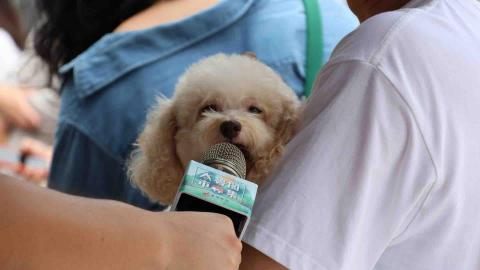 點創行銷公關有限公司 - 