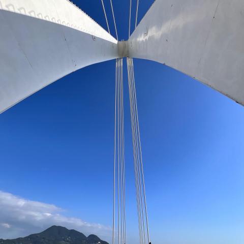 提供adsense是什麼服務的專家中田桜子