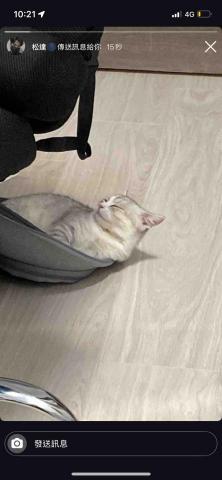 提供和美服務的專家631