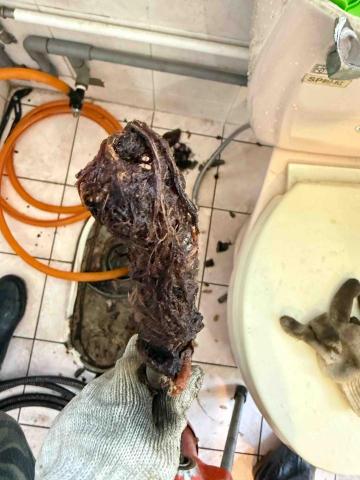 阿陽水管疏通環保工程 - 糞管樹根 阿陽水管疏通環保工程 - 糞管樹根