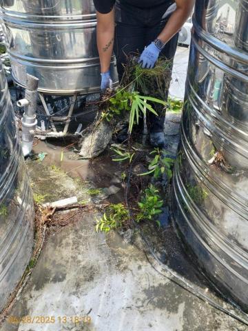 禾竣工程 - 水塔地坪植物清除 禾竣工程 - 水塔地坪植物清除