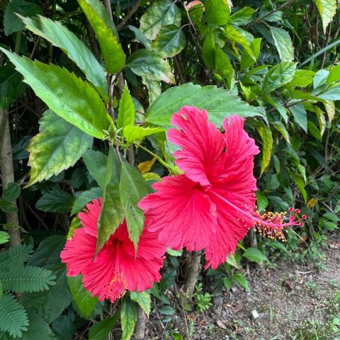 提供訊號故障服務的專家謝滄霖