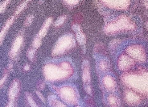 姚采伶 - 油畫（光影）