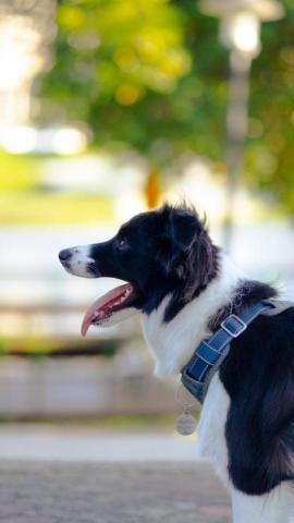 柚子 pomelo|女攝|平面 - 