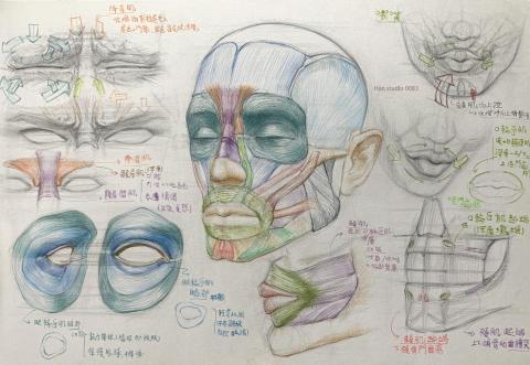 Han studio  邱柏翰 - 當你畫人物時常感覺表情「不到位」、神韻「差一點點」？
也許你可以試著：了解臉部的動態結構邏輯。

課堂上會從「臉部肌肉動作」出發，帶你理解：

☺️為什麼嘴角上揚不只靠嘴唇？

?為什麼眉毛變化，能影響整個神情？

✍️ 如何用畫筆表現微妙的喜怒哀樂？

幫助你學會「看懂人臉表情」的解剖基礎與繪畫轉譯！

想試著讓你的角色、寫生或人像更有情感？歡迎私訊預約！