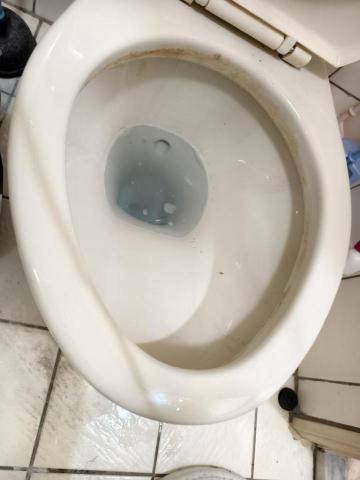 鑫貔清潔 - ,, 鑫貔清潔 - ,,