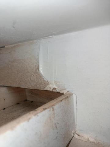 大佶環衛 - 新店鼠防治