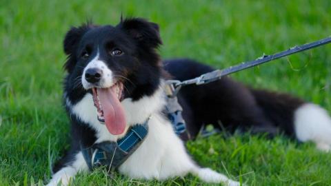 柚子 pomelo|女攝|平面 - 