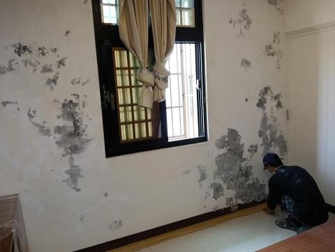 鑫鉑實業有限公司 - 壁癌修復