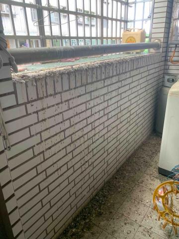 楊雪琦 - 清洗陽台前