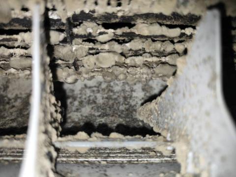 蕭鼎潤（企鵝洗淨） - 清洗前