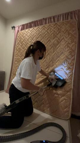 打擊蟎蟎安心清潔行丨床墊沙發除蟎專家｜到府服務｜寵物尿漬、小 - 