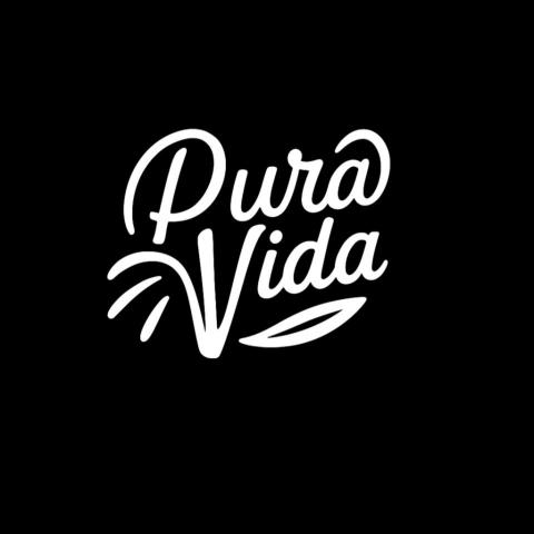 提供訴訟法服務的專家陳妤涵