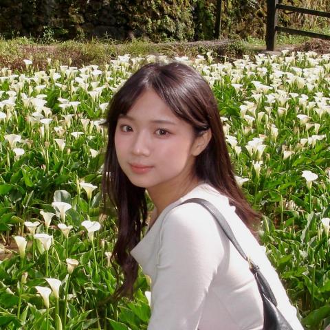 提供孫盛希服務的專家陳希