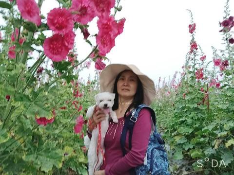 顏媽媽 - 狗狗如果喜歡外出，我就會開車帶他外出，讓狗狗非常快樂