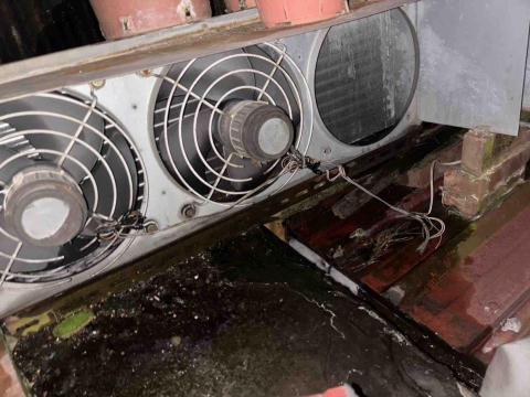 小巨匠 -  小巨匠 -