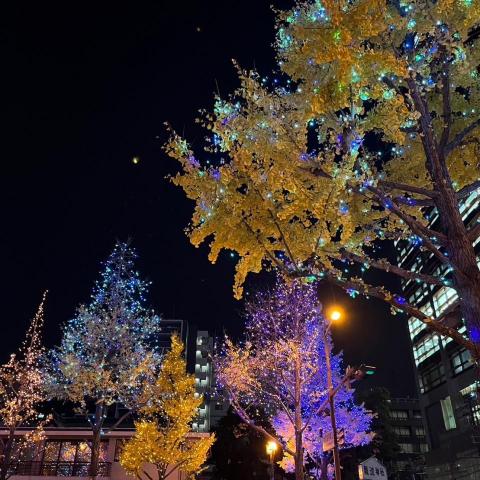 提供分鏡編劇服務的專家巫淇淇