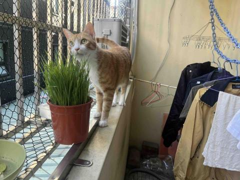 提供動畫影片服務的專家YU-LIN