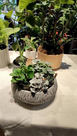 由美夫婦綠植-沂宸設計 - 