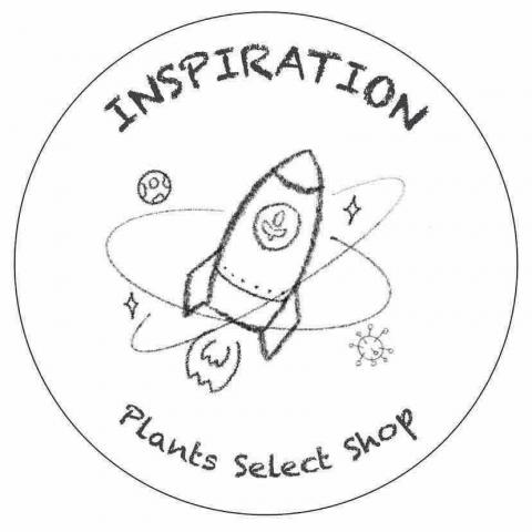 提供陽台植物服務的專家找靈感景觀工作室