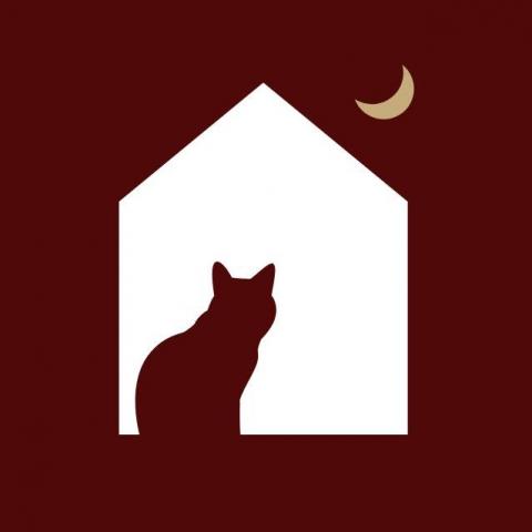 提供ig經營風格服務的專家橘宅工作室｜社群經營 & 影片製作 & 圖文設計