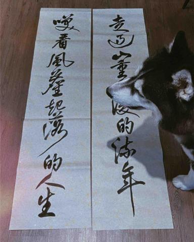 台南（假日）/高雄市（平日）書法家教/教學 - 