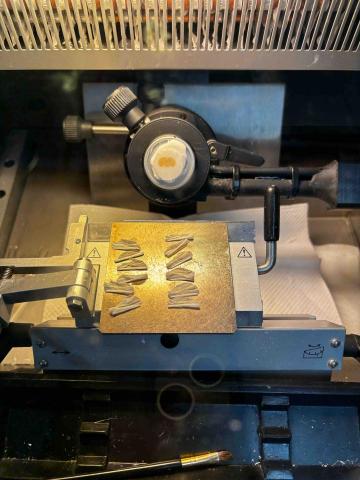 張廷軒 - 實驗室的生活小碎片 冷凍切片機