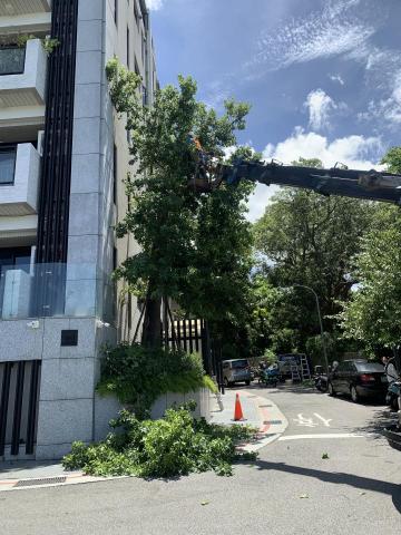 杉美園藝綠化有限公司 - 