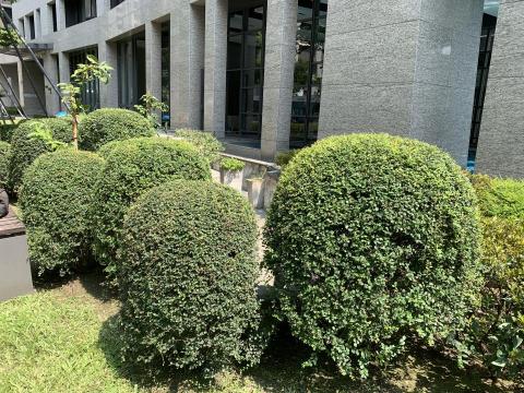 杉美園藝綠化有限公司 - 