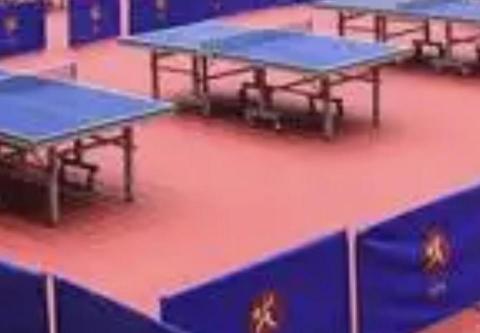輕鬆玩乒乓 輕鬆玩乒乓