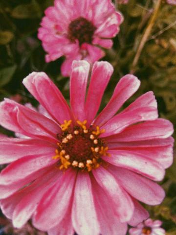 提供capcut模板教学服務的專家Marry