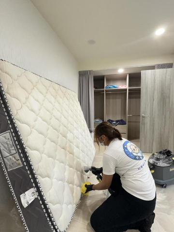 除蟎蟎床墊沙發清潔專家 - 